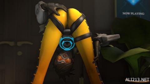 西新星转投 西新星转投