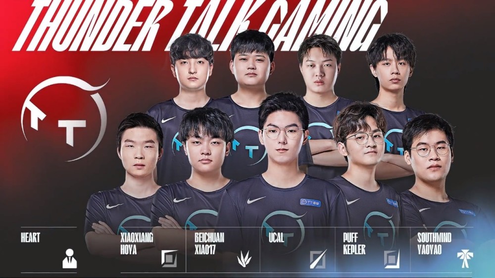 提供了更多 提供了更多